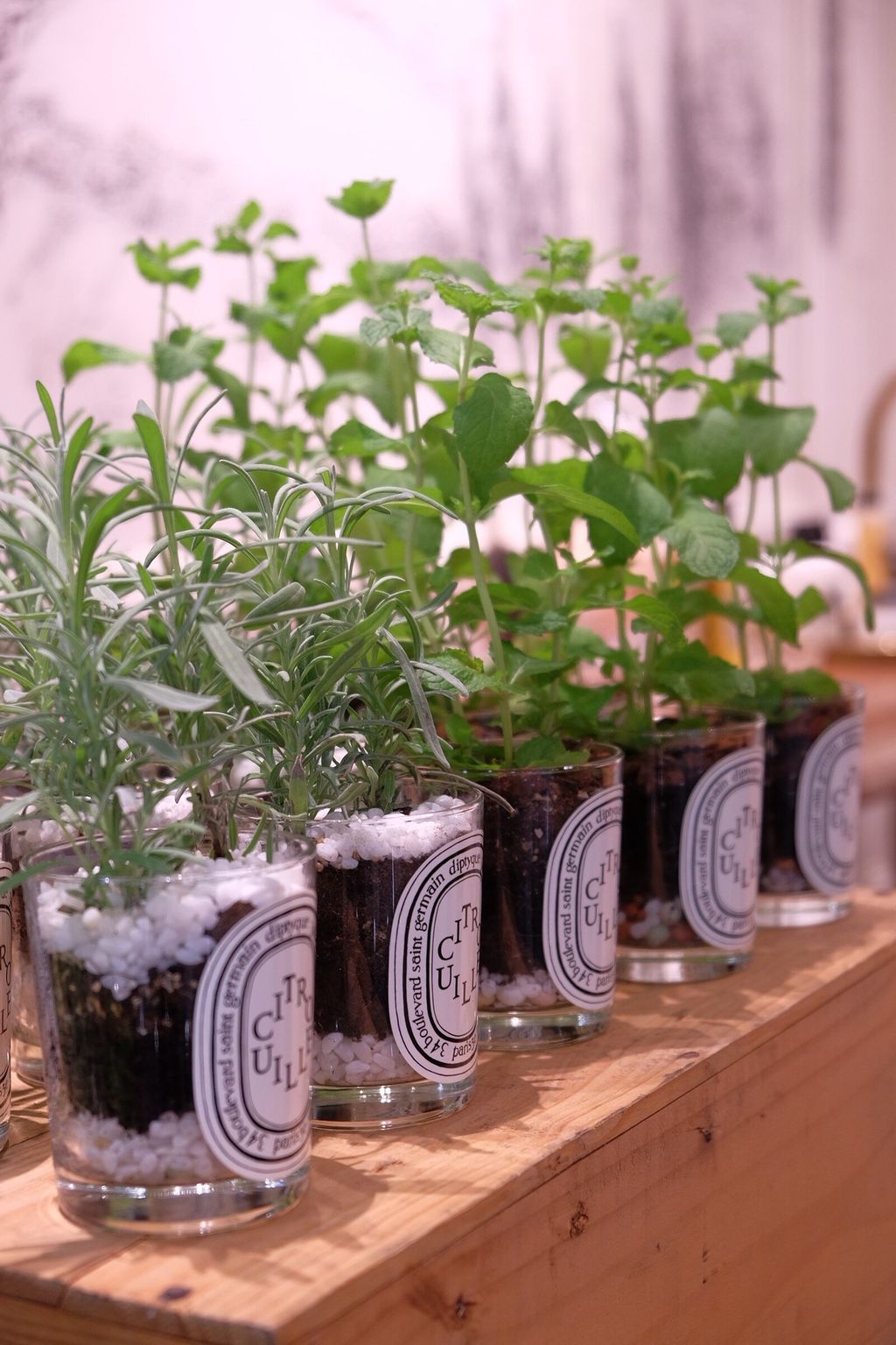 LINE_ALBUM_726 漢神巨蛋_250816_12