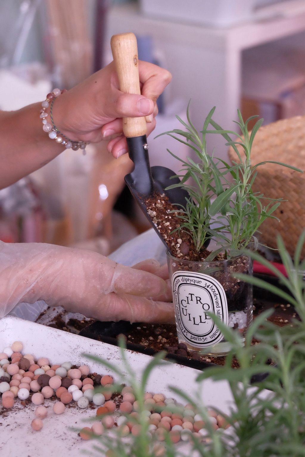 LINE_ALBUM_726 漢神巨蛋_250816_7