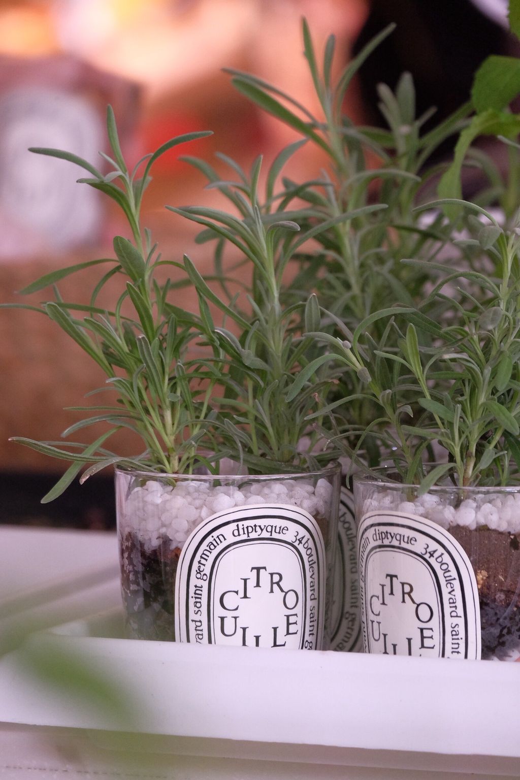 LINE_ALBUM_726 漢神巨蛋_250816_6