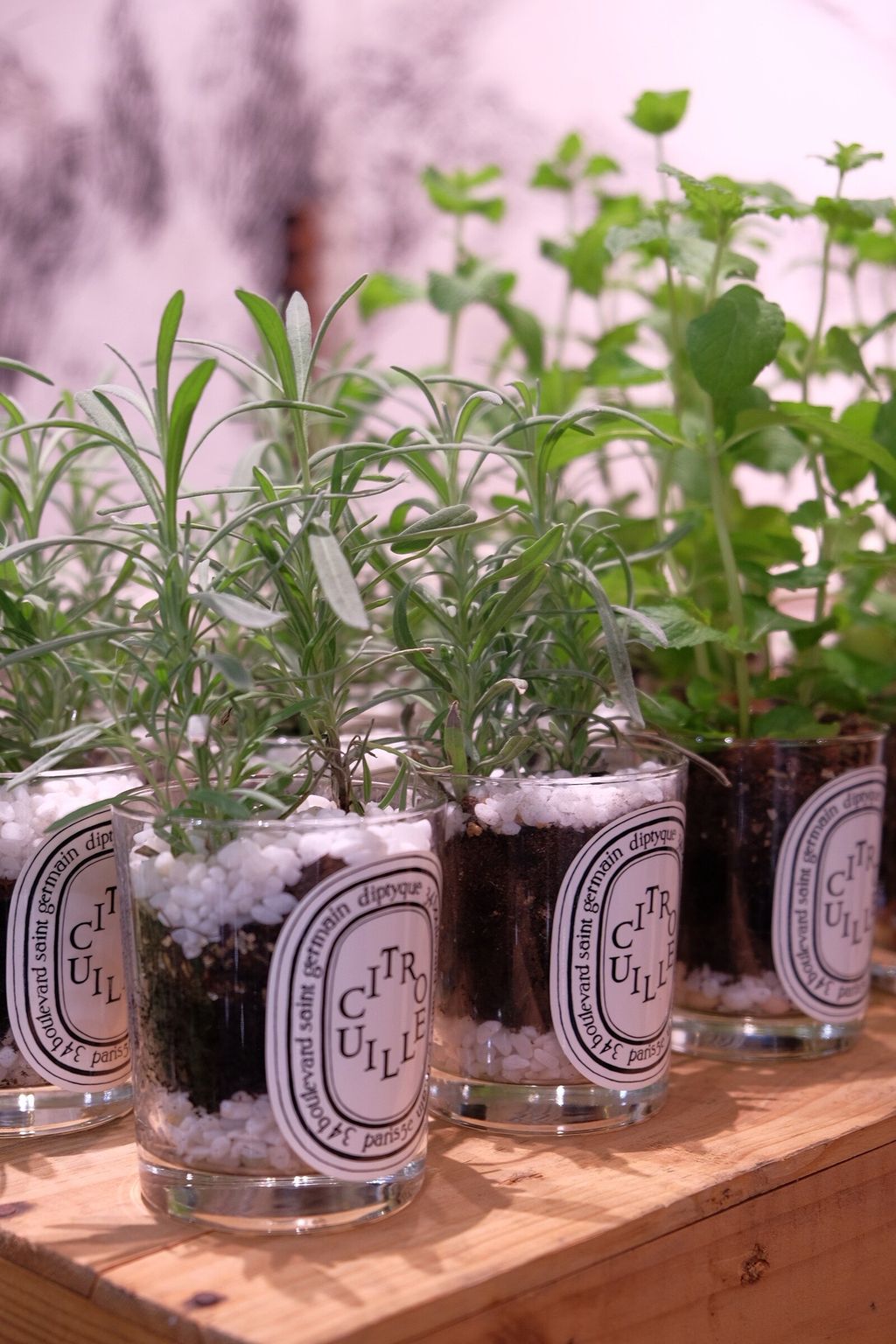 LINE_ALBUM_726 漢神巨蛋_250816_10