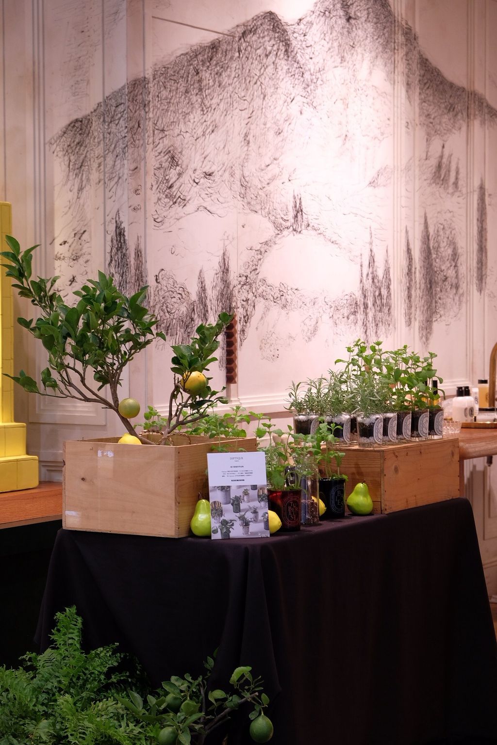 LINE_ALBUM_726 漢神巨蛋_250816_14