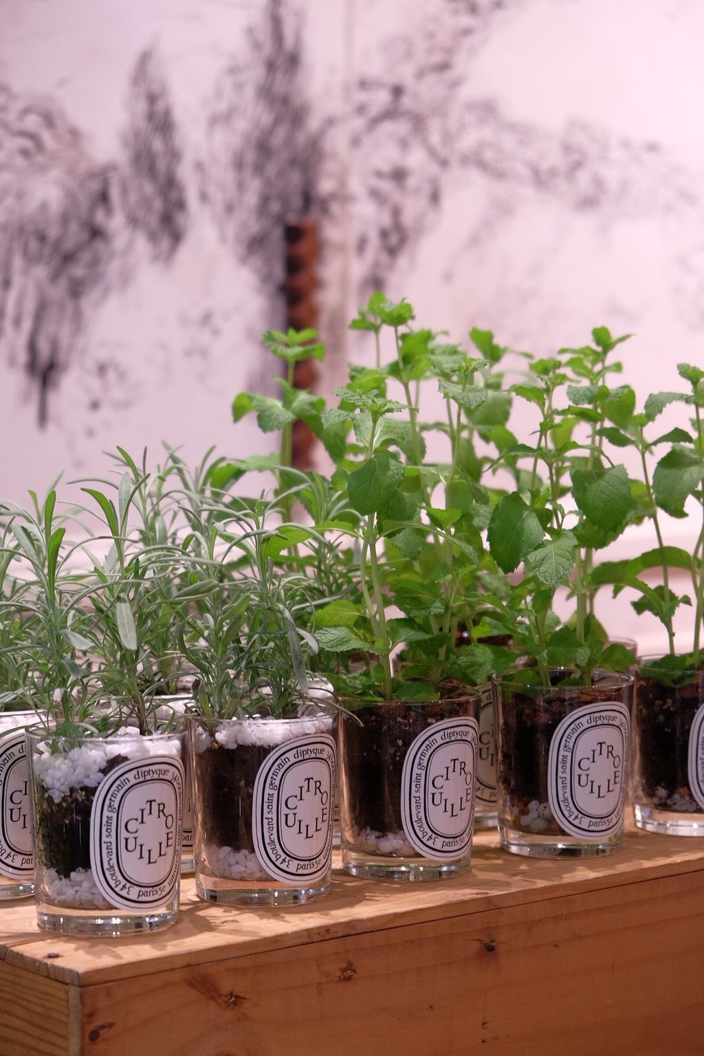 LINE_ALBUM_726 漢神巨蛋_250816_11