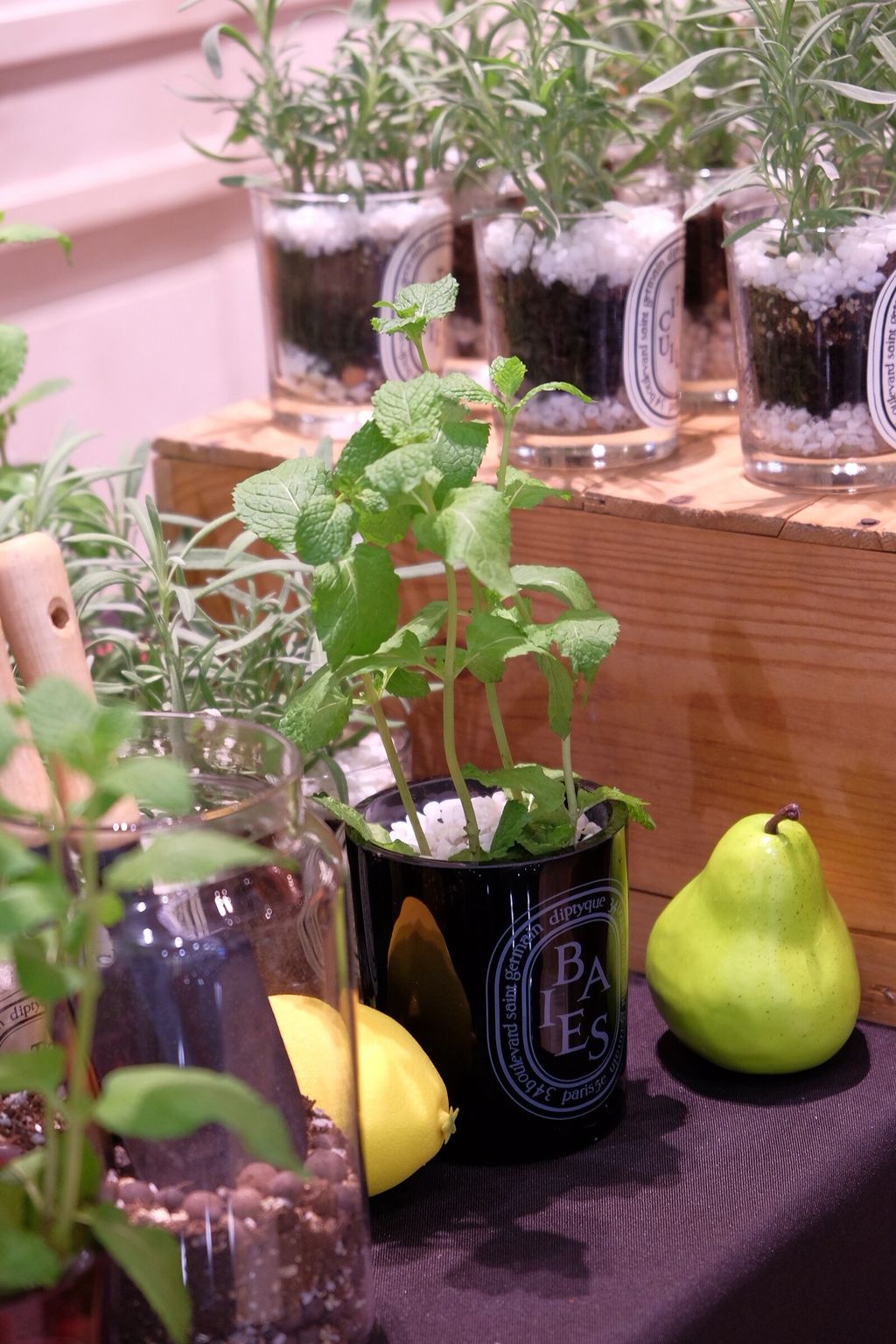 LINE_ALBUM_726 漢神巨蛋_250816_13