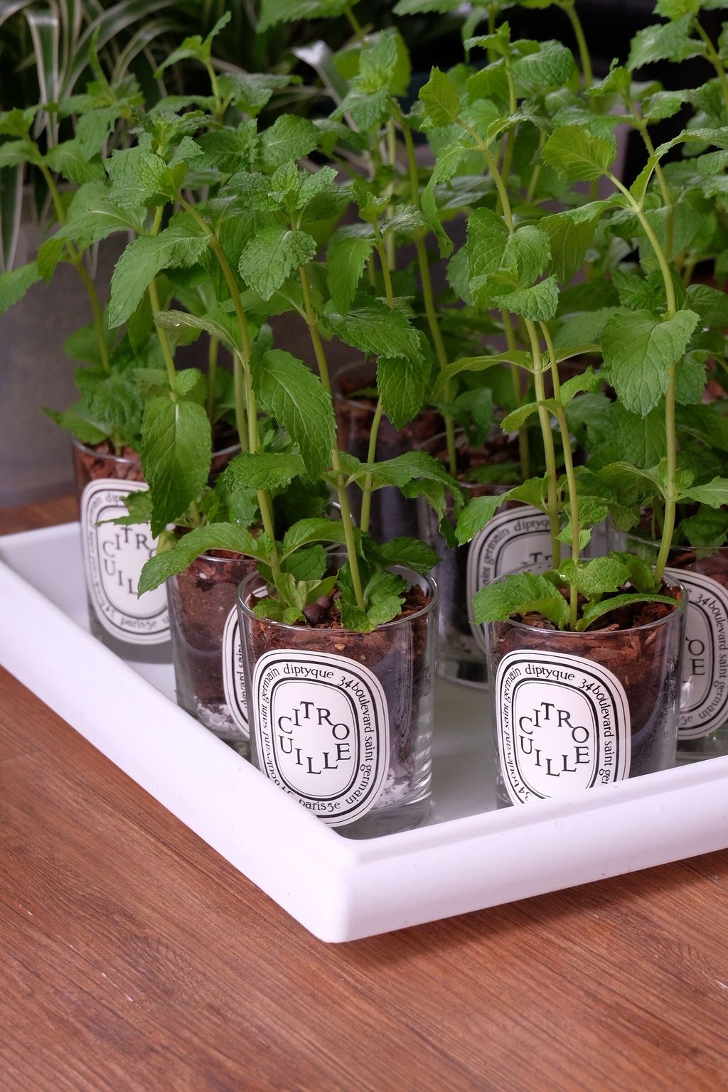 LINE_ALBUM_726 漢神巨蛋_250816_5