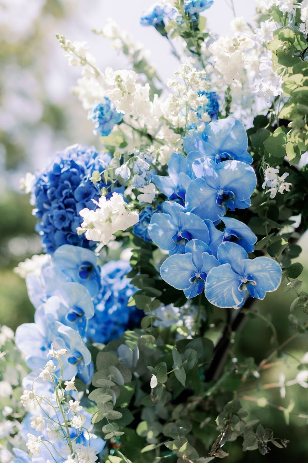 LINE_ALBUM_0813想陽明山vineandfigphoto_240220_26
