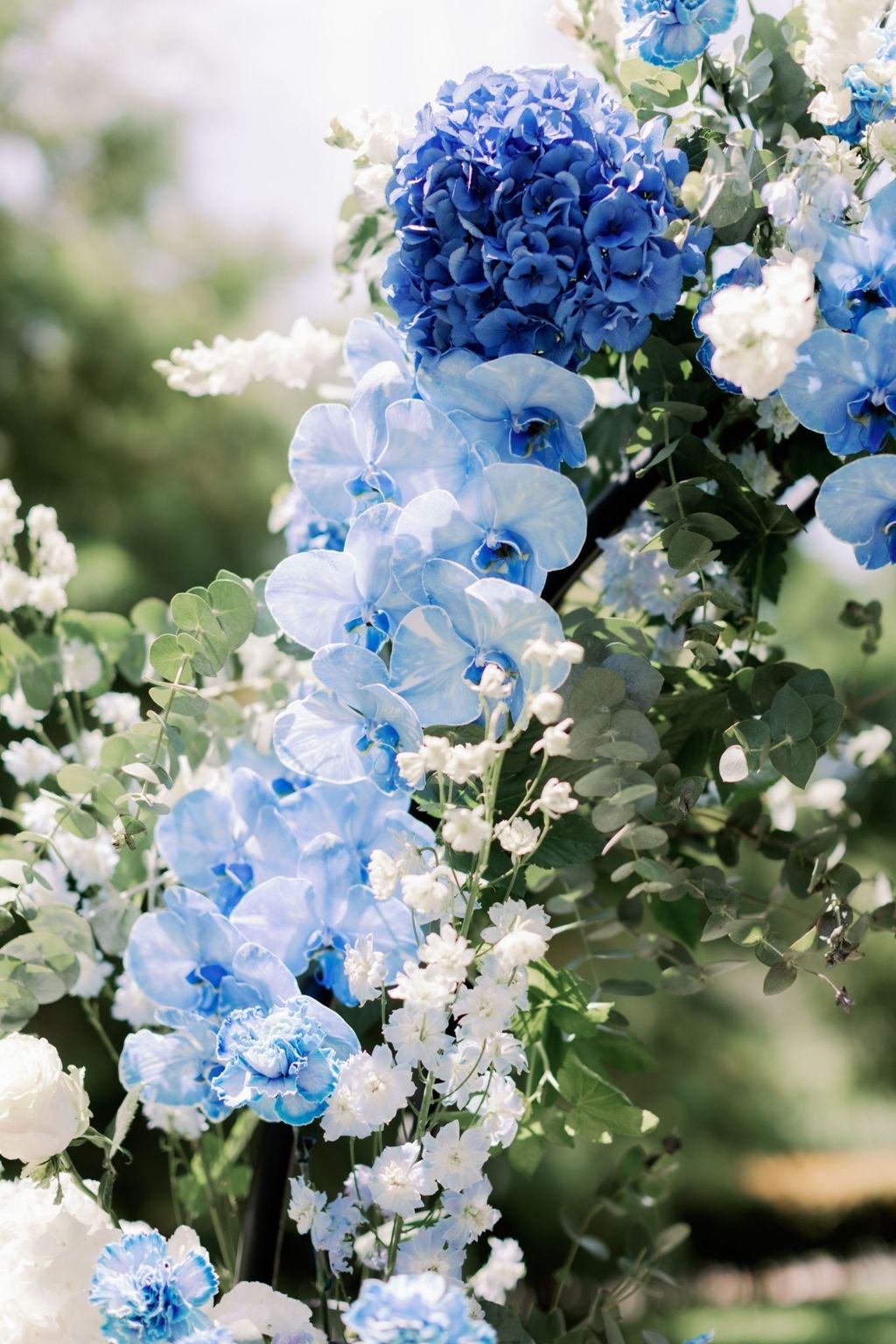 LINE_ALBUM_0813想陽明山vineandfigphoto_240220_23