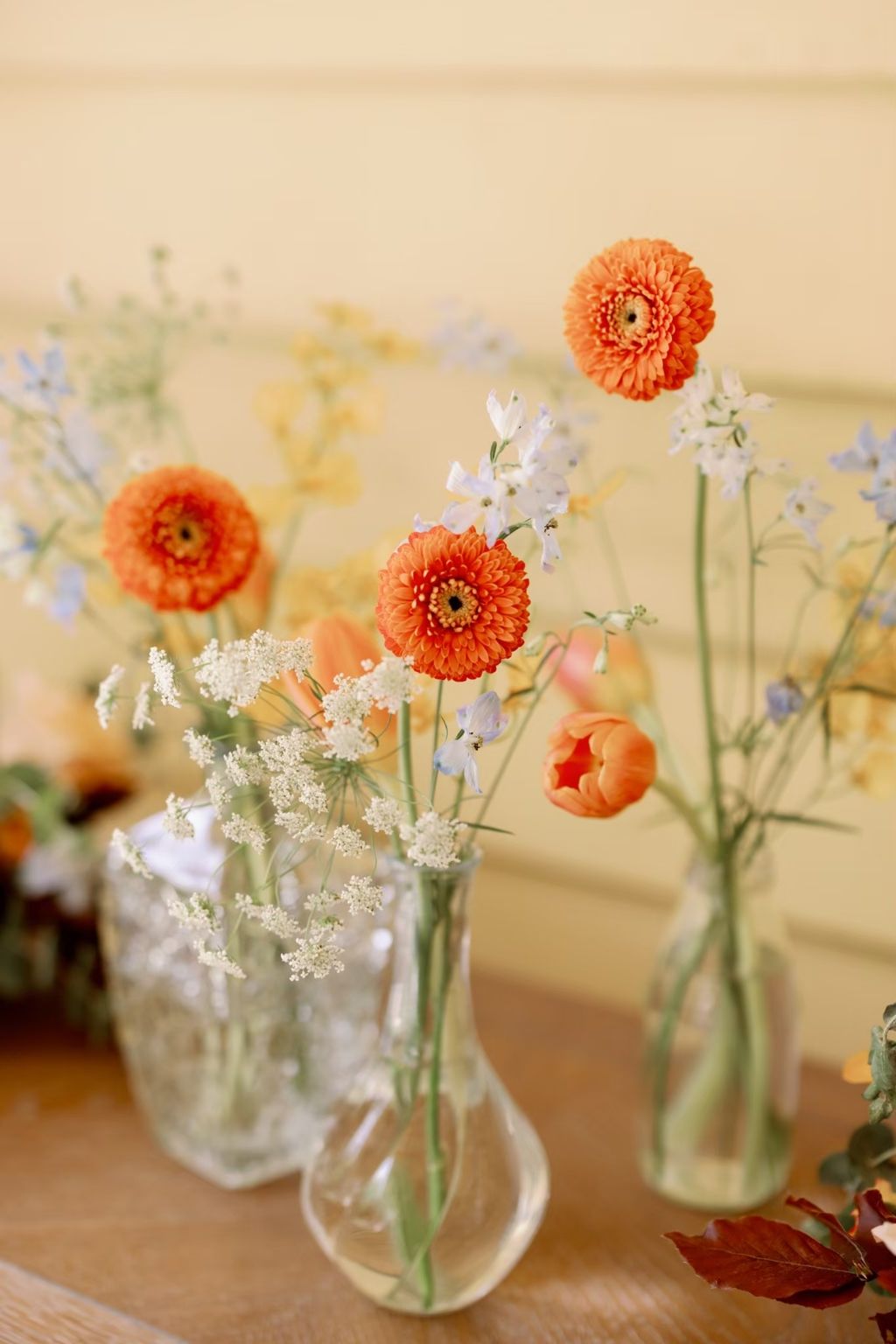 LINE_ALBUM_0813想陽明山vineandfigphoto_240220_36