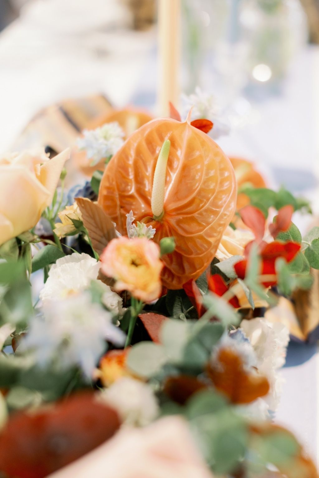LINE_ALBUM_0813想陽明山vineandfigphoto_240220_18