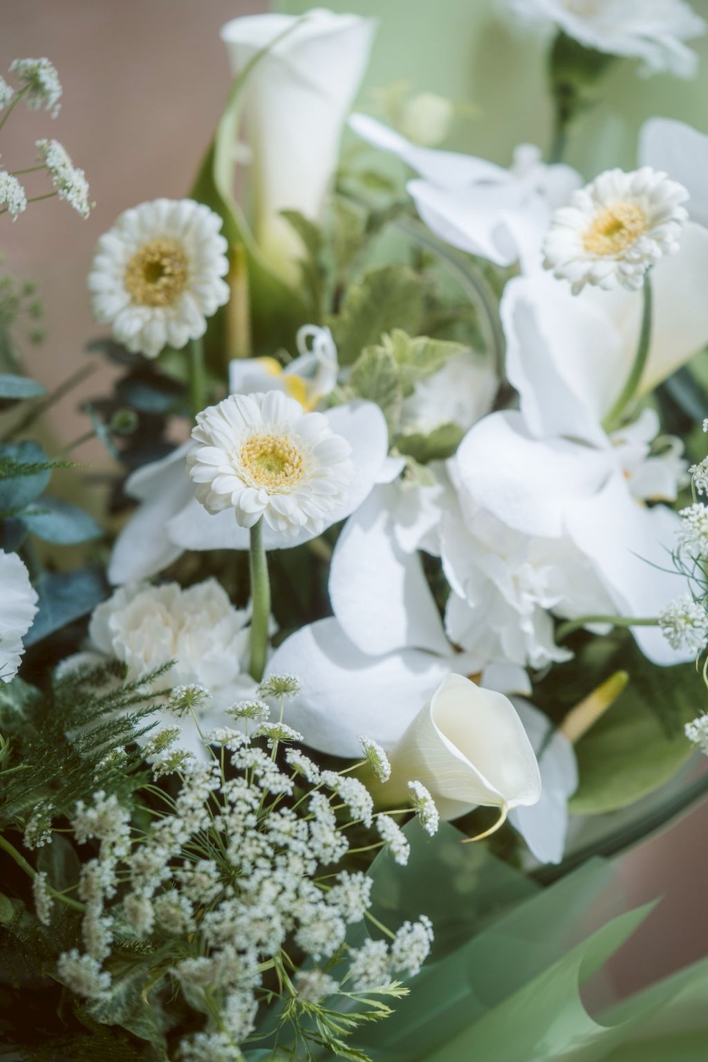 LINE_ALBUM_2025.8.28_250910_1