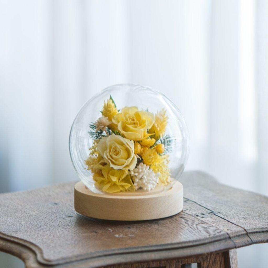 7R300537 (大) 剪裁