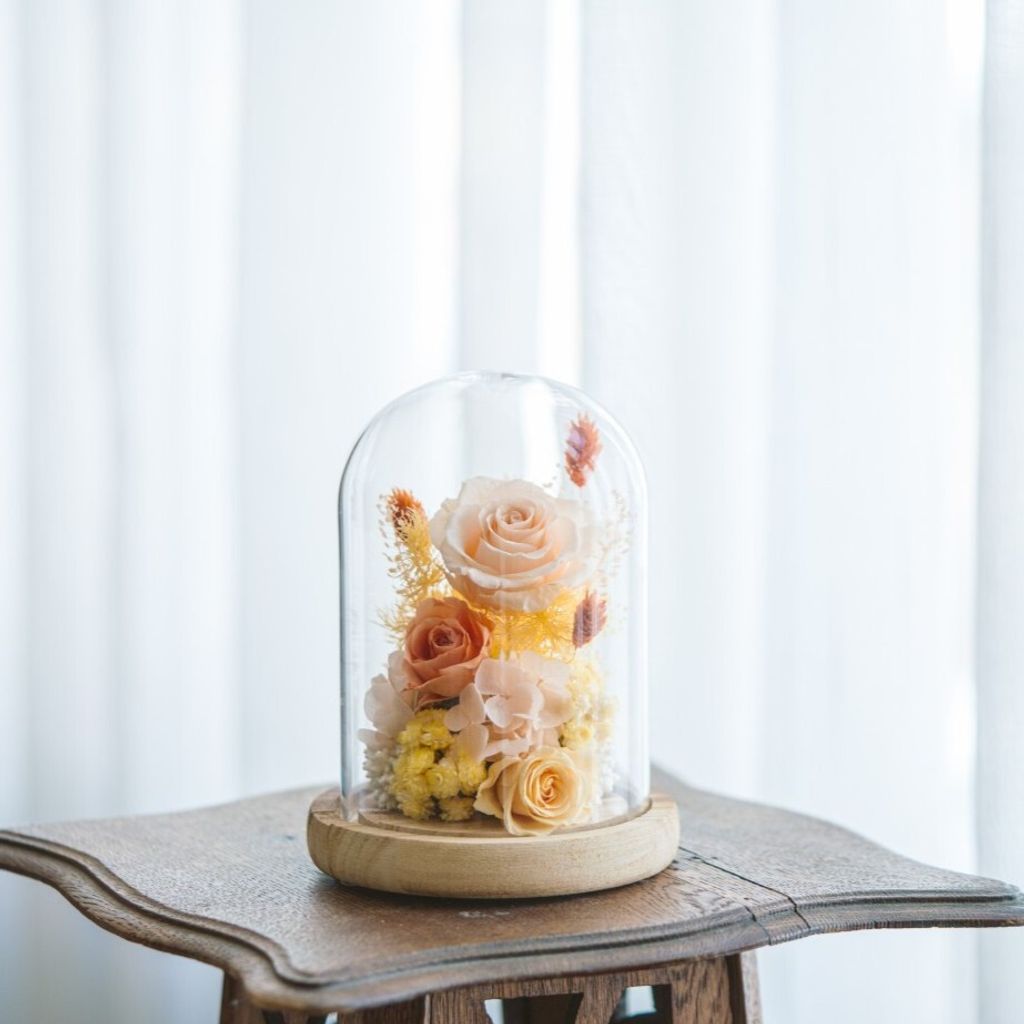 7R300508 (大) 裁切