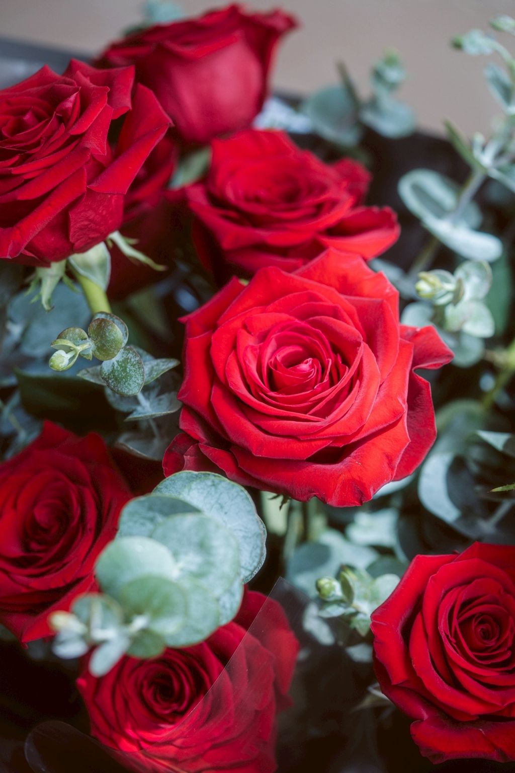 LINE_ALBUM_$2200雙色鬱金香_250913_2