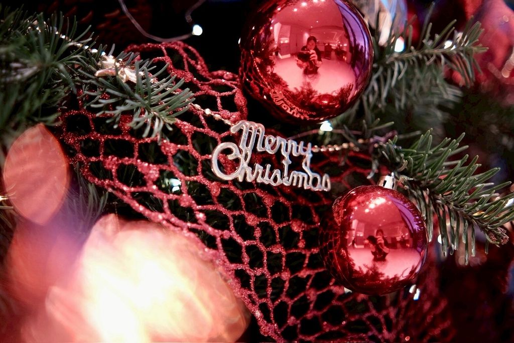 LINE_ALBUM_2025 A聖誕樹_251128_5