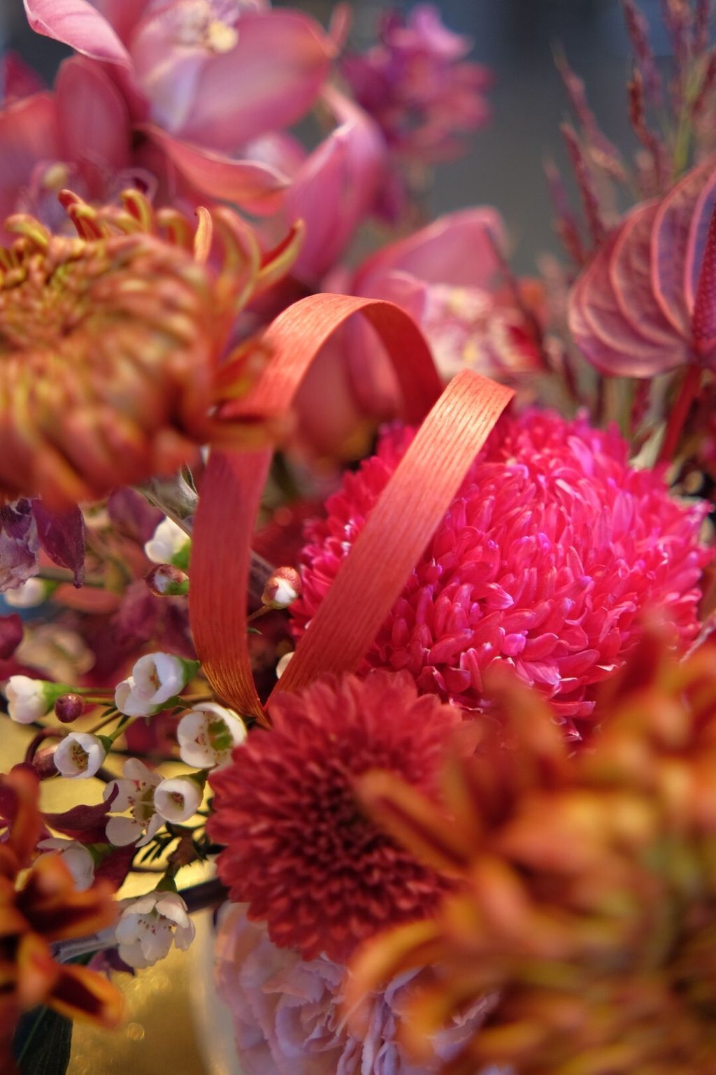 S__147218591_0 (大)