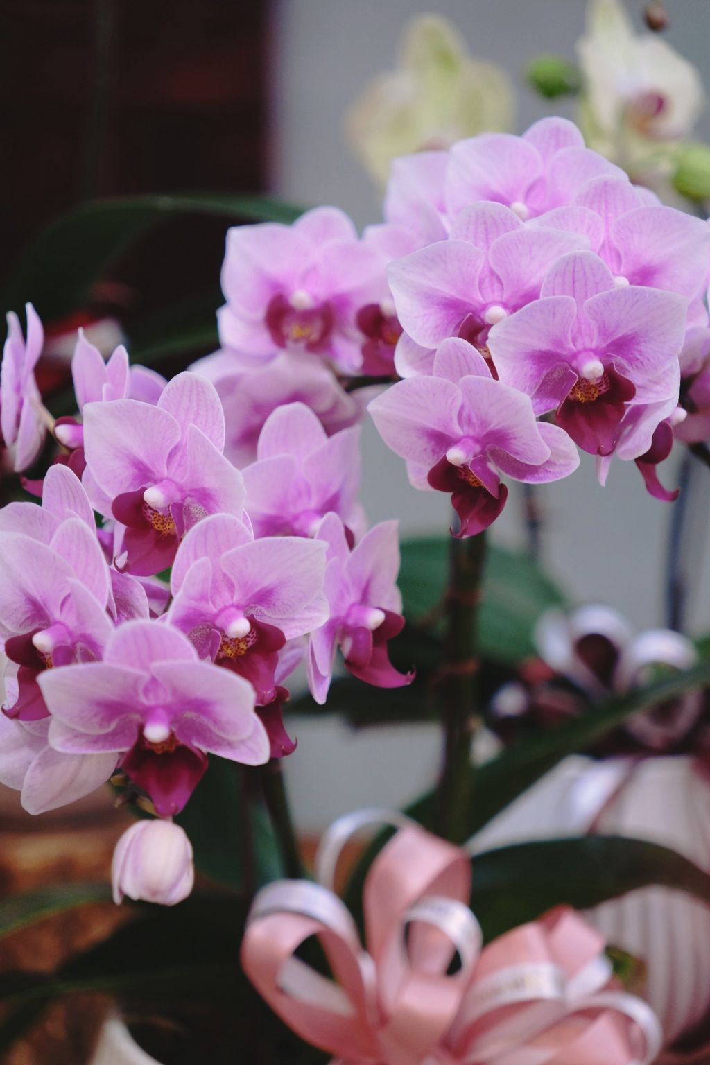 image_6B288F9D-82E5-4CEE-AE07-DBE3A671D6EF_1769311717