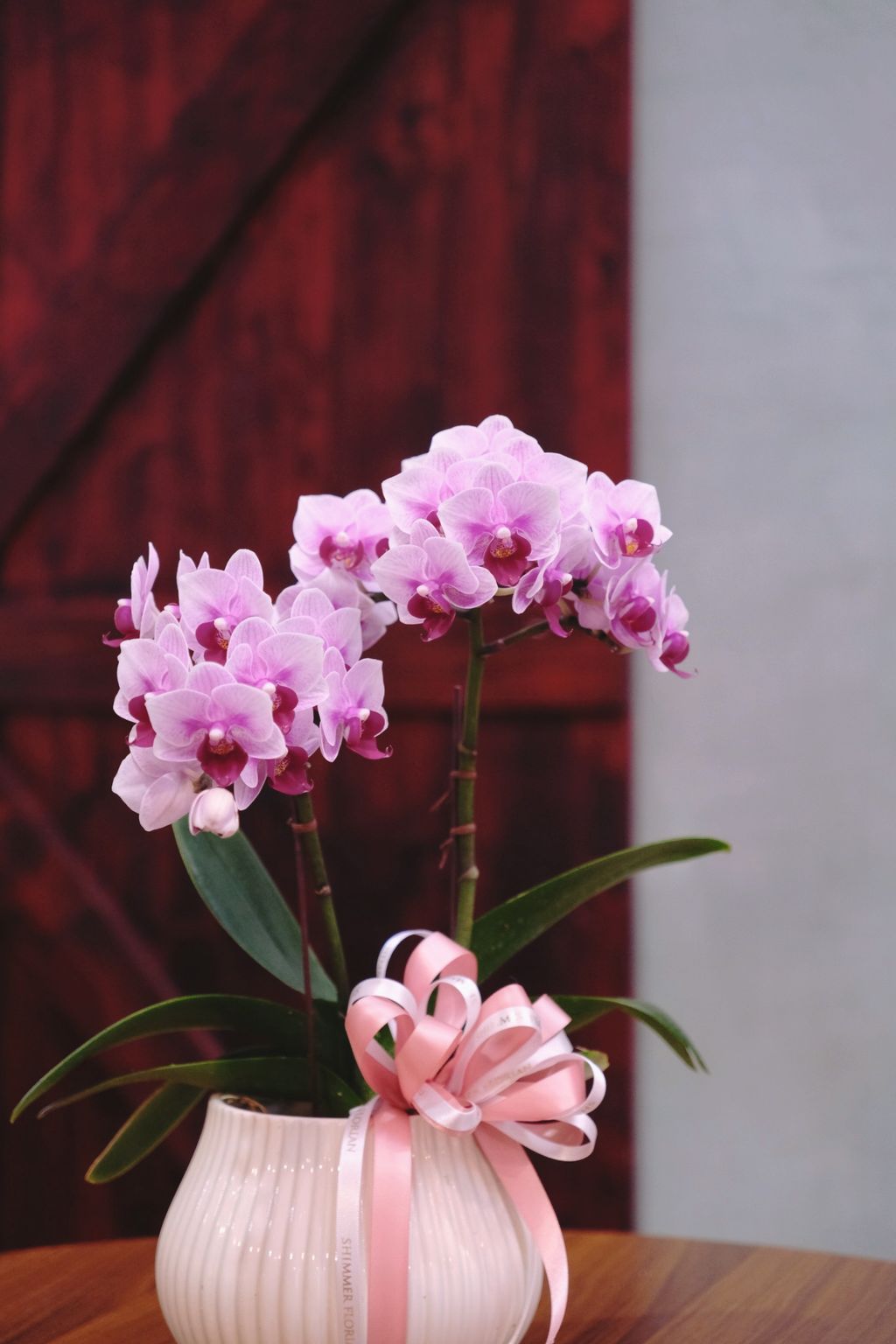 image_B540E877-416E-4CC3-B30A-04AB008ACB12_1769311717