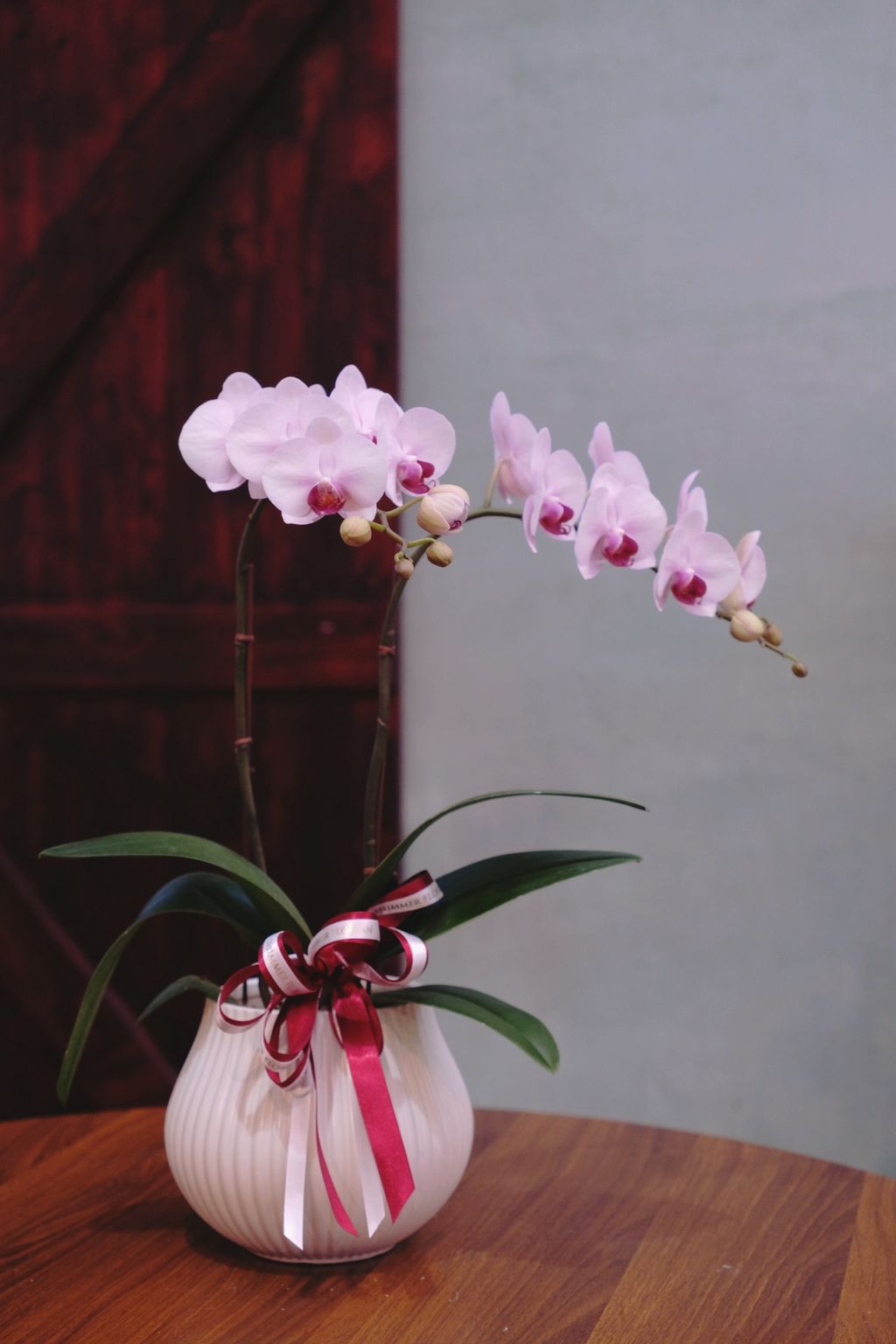 image_7F330BE6-8882-4E18-9E7F-97CD48A1DAA7_1769311717