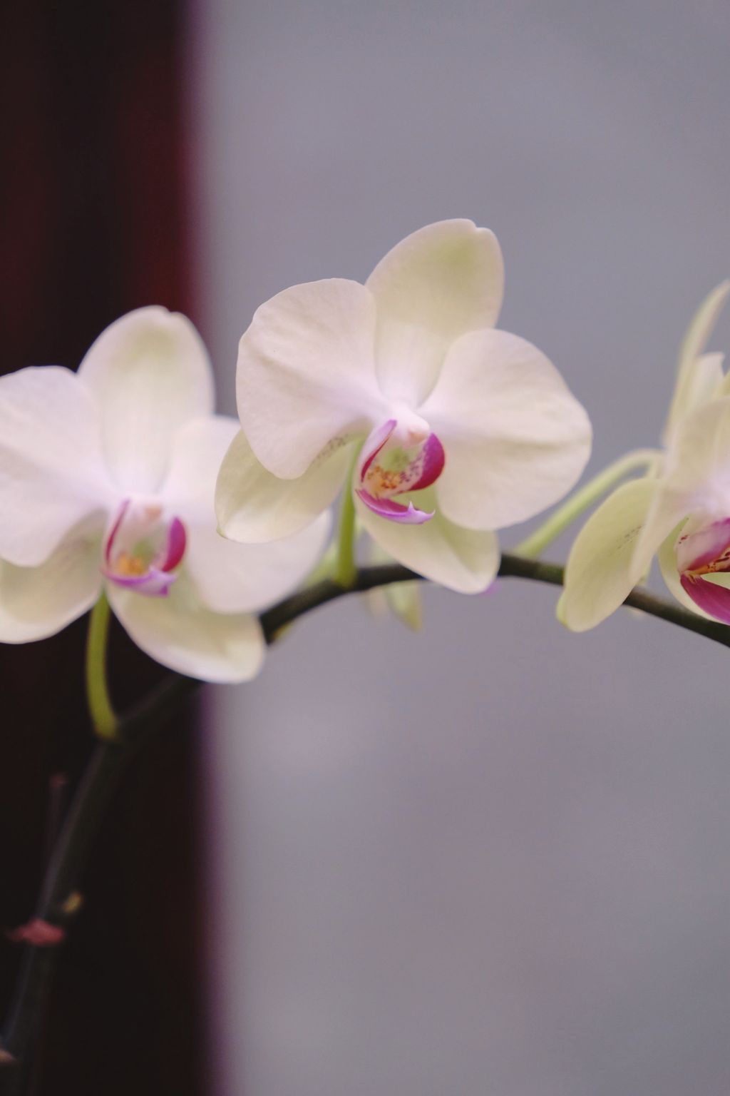 image_6D72DB6A-CE2F-48EC-9A08-9C2A639320E9_1769311717