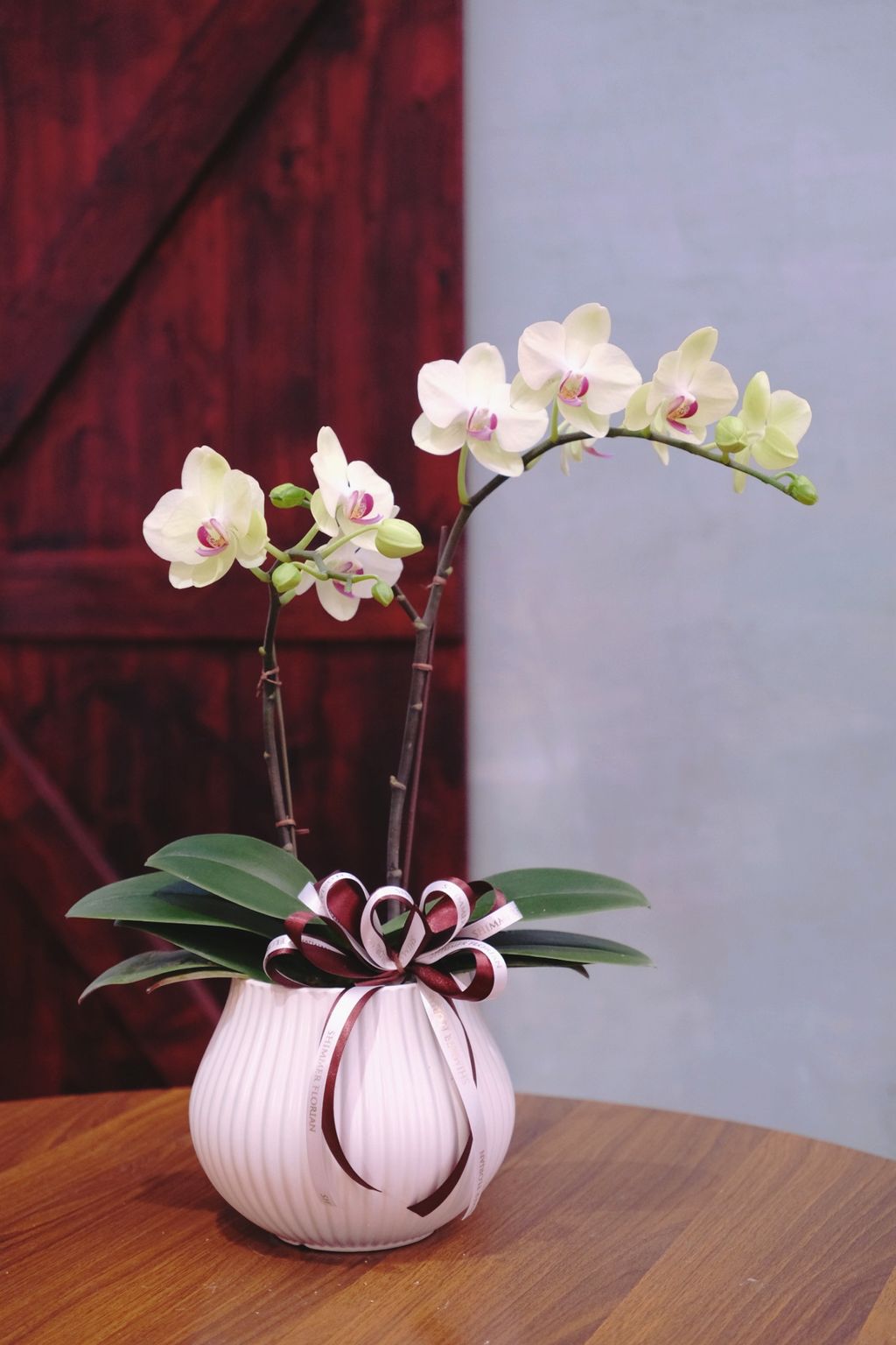 image_A0B1AF39-10BD-44D5-B1CA-6BDD1651ED26_1769311717