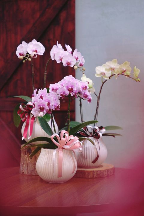 image_E0EA22AA-C896-4401-9A11-B81D82904AAB_1769311717