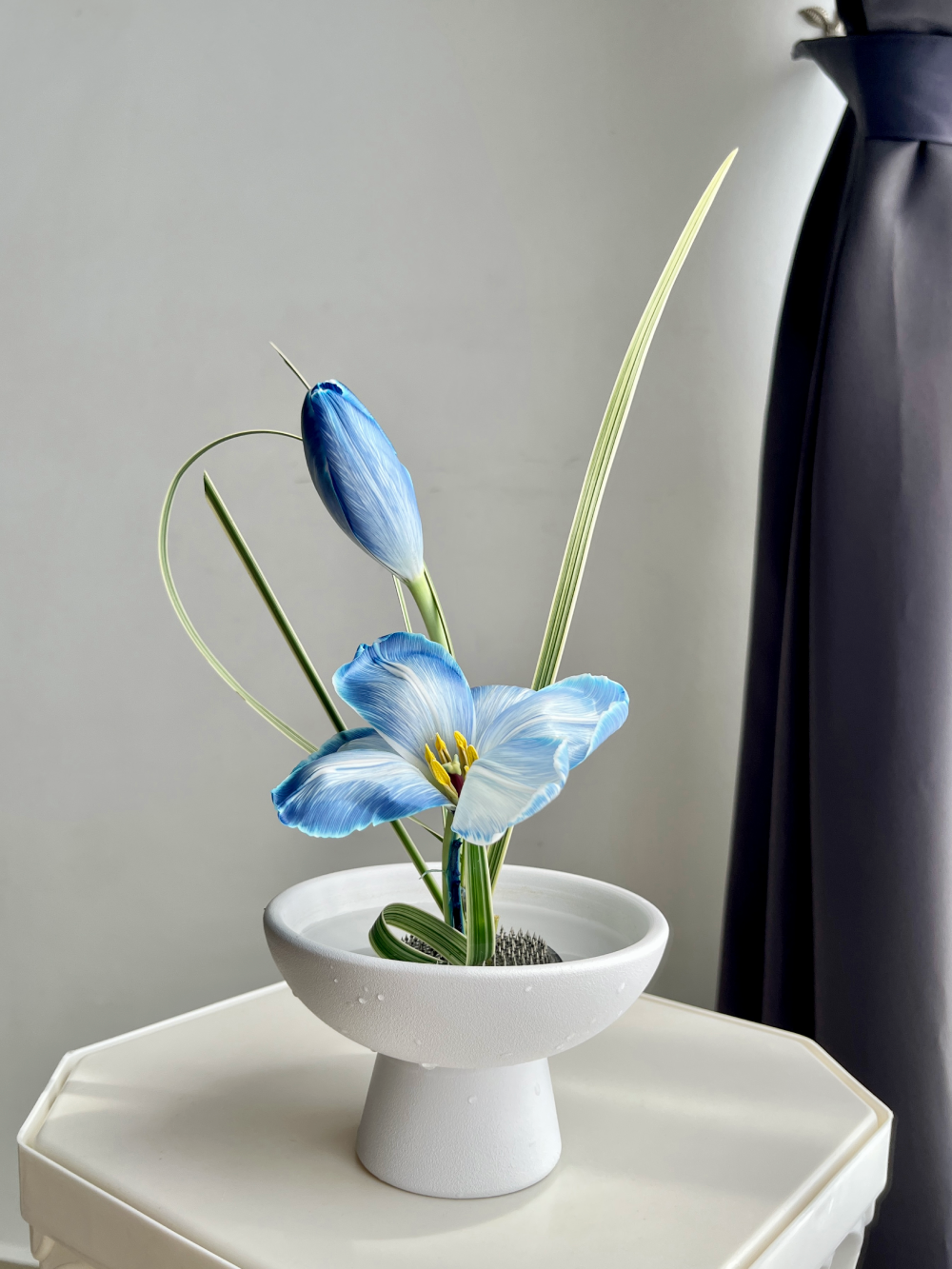 blue tulips
