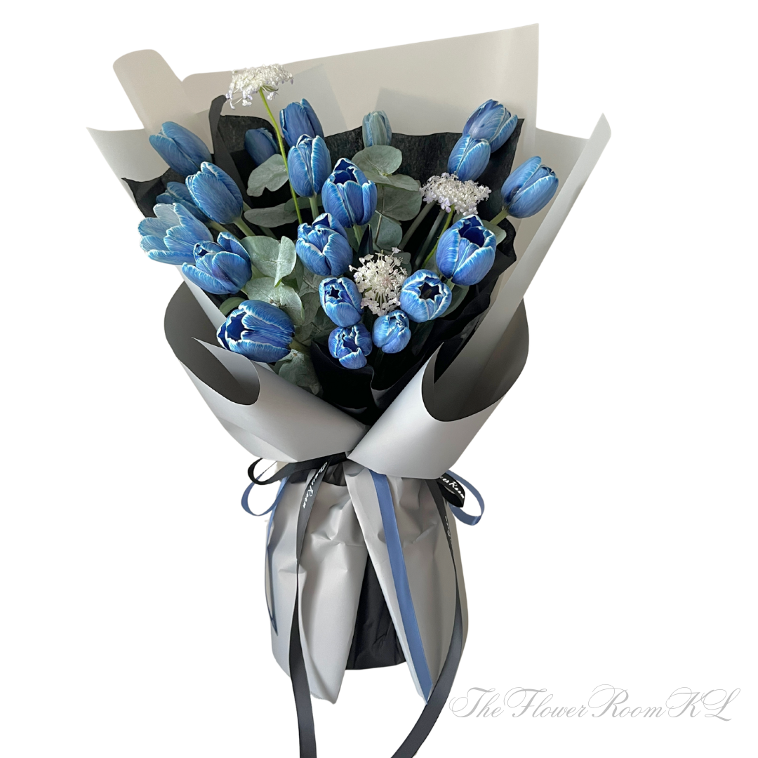 TFR - designs (3)