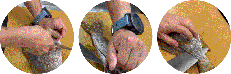 小魚刀1
