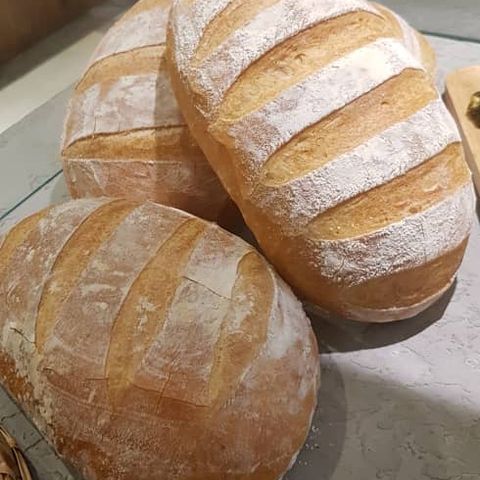 White Bloomer rm6 17Jul21 sq.jpeg