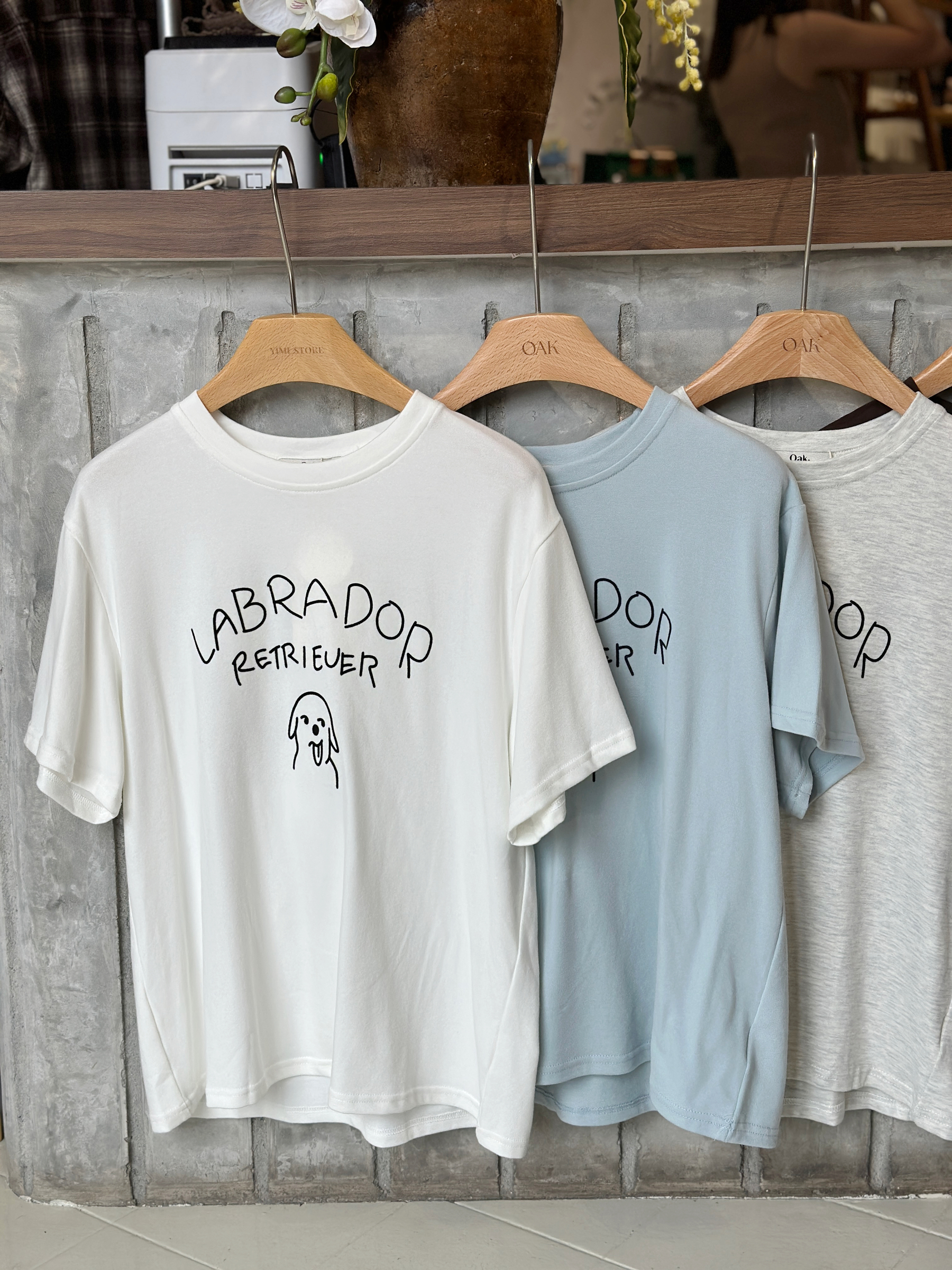 image_5149342E-F3D5-40B5-8309-1962E6B48337_1761287624