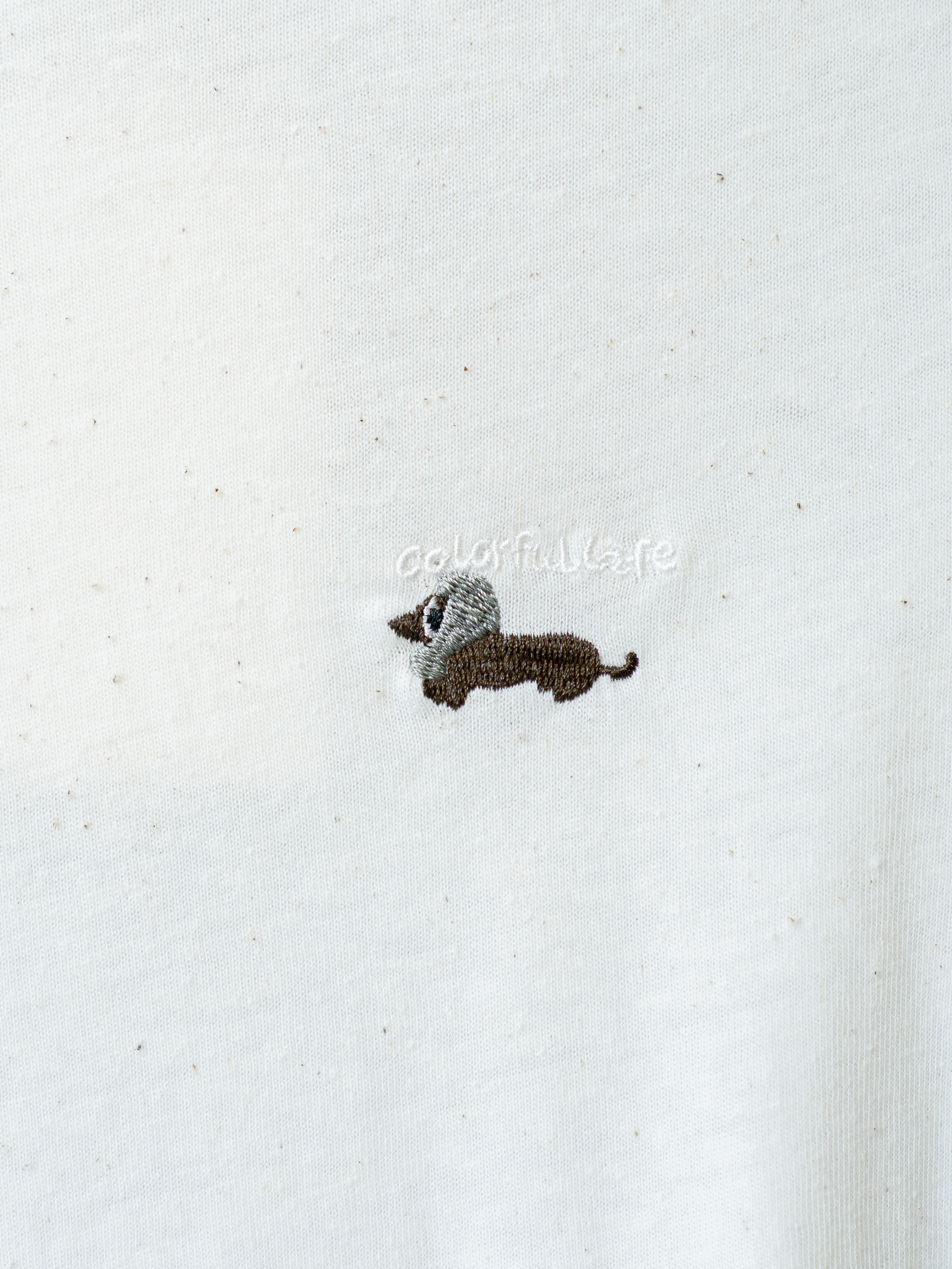 image_3B714A9A-B2B2-48C4-BC8A-084C2B87AC37_1762581790