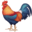 🐓