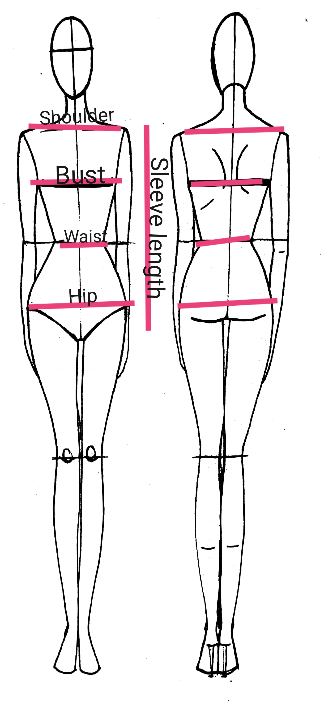 body measurement chart.jpg