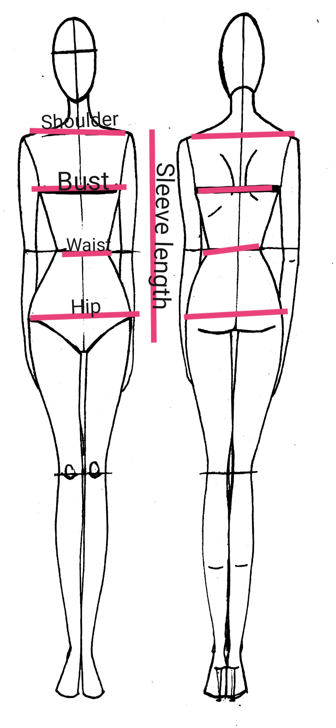 Measurement Guide