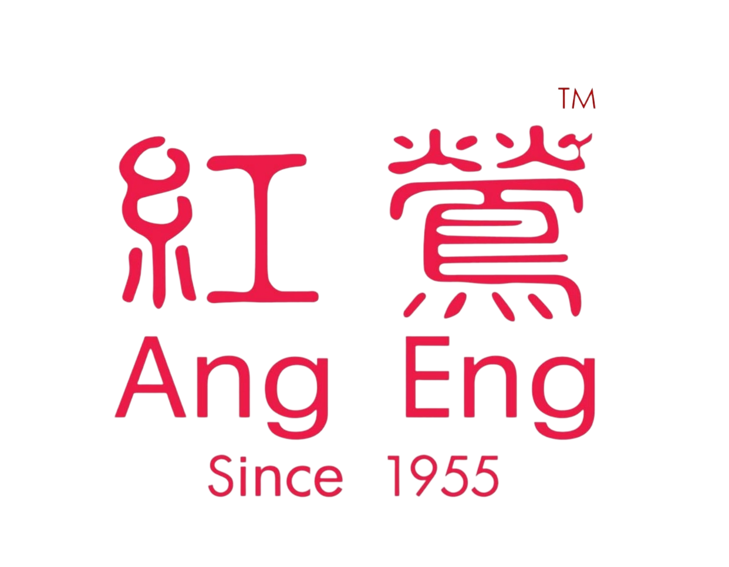 ANG ENG SDN BHD (co. 945265v)