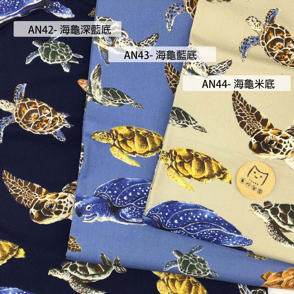 AN42海龜