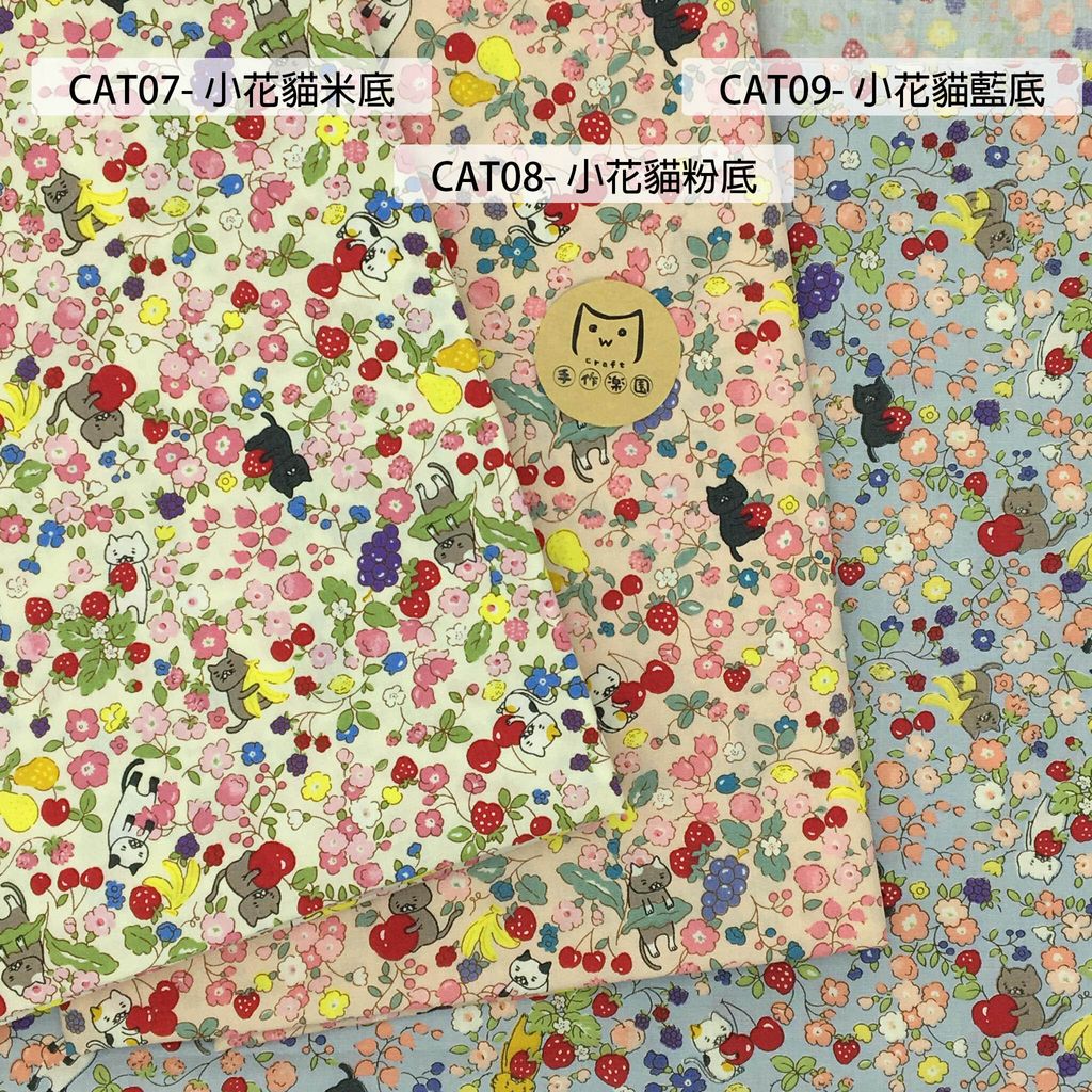 cat07小花貓