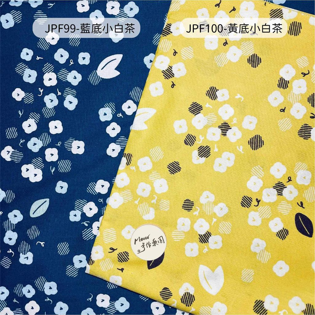 JPF99-01