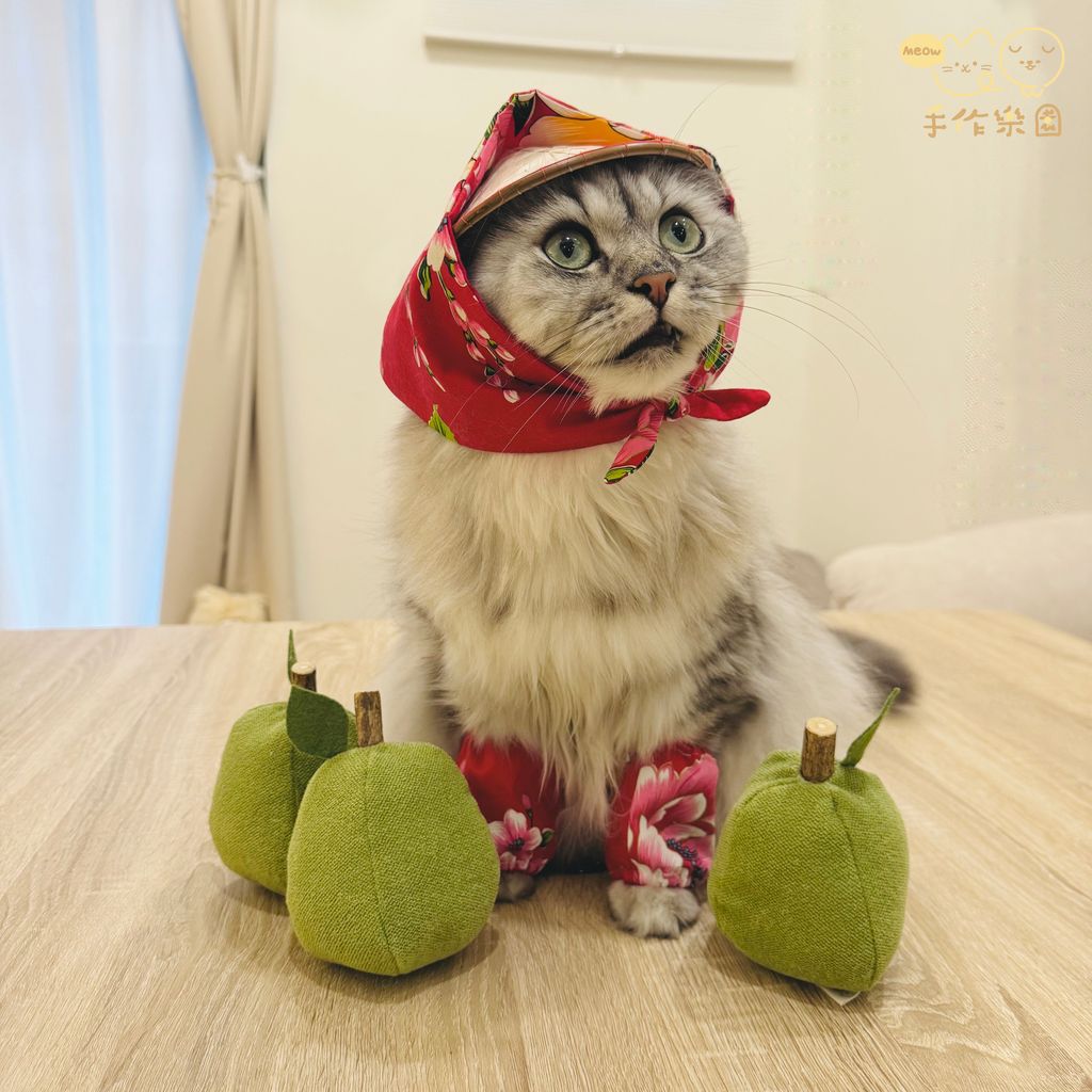 中秋5