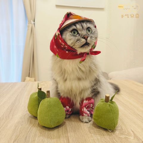 中秋5
