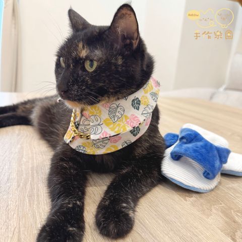 台客5