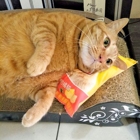 零食2.jpg