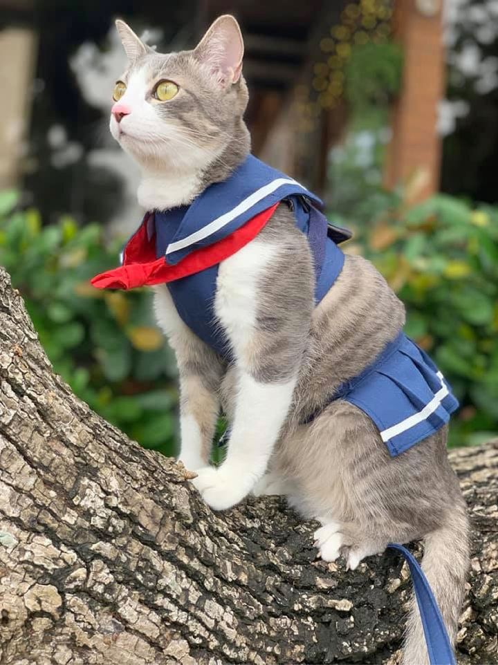 女生制服9.jpg