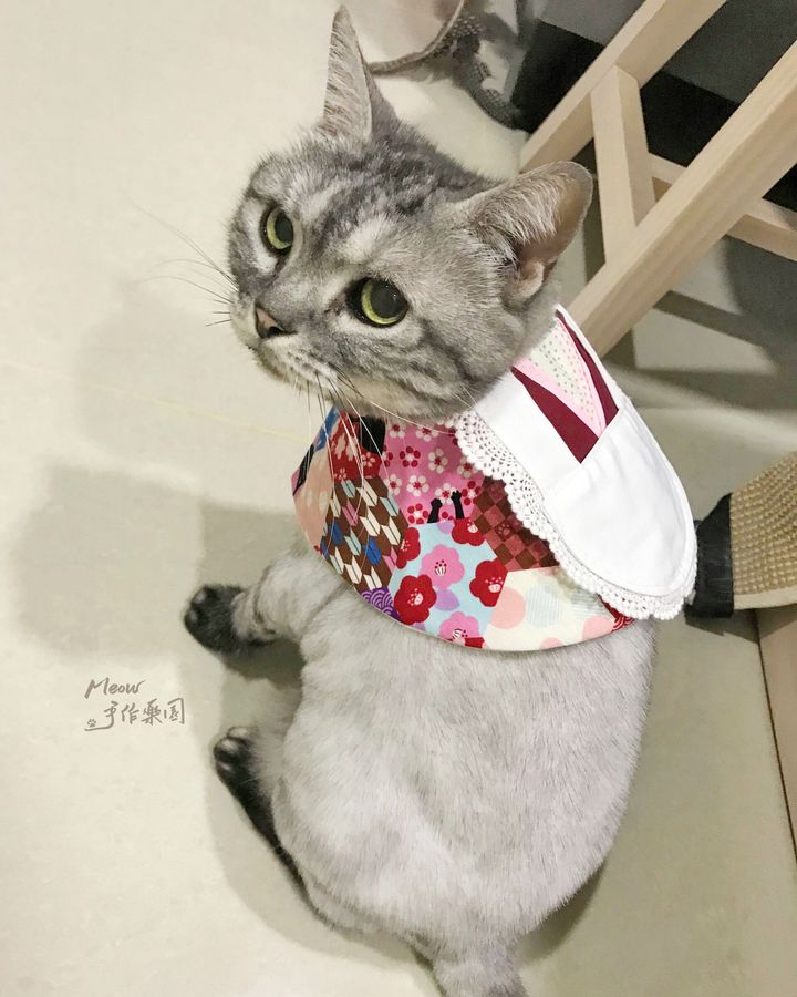 官網用_女僕5.jpg