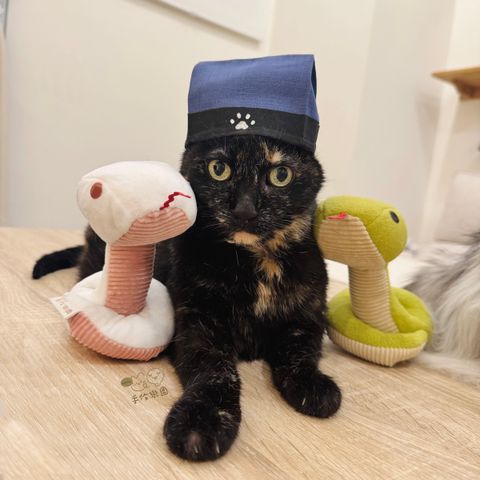 端午2