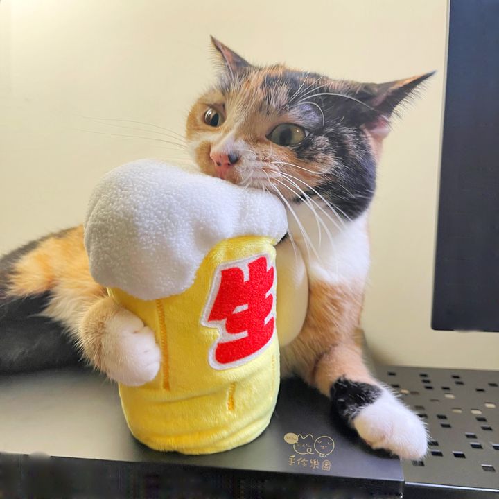 居酒屋13