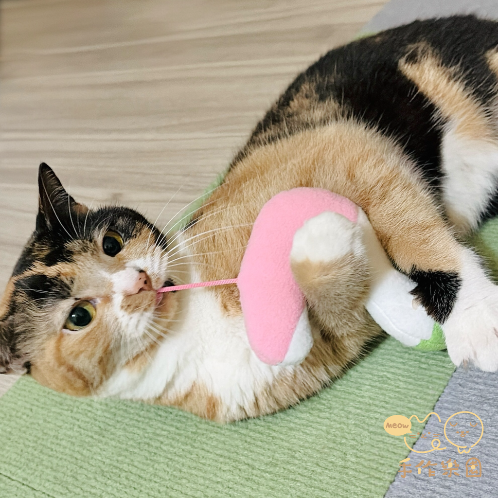 image_3D53FE73-1BD1-43C6-BB61-FB723A4C49F5_1769053725