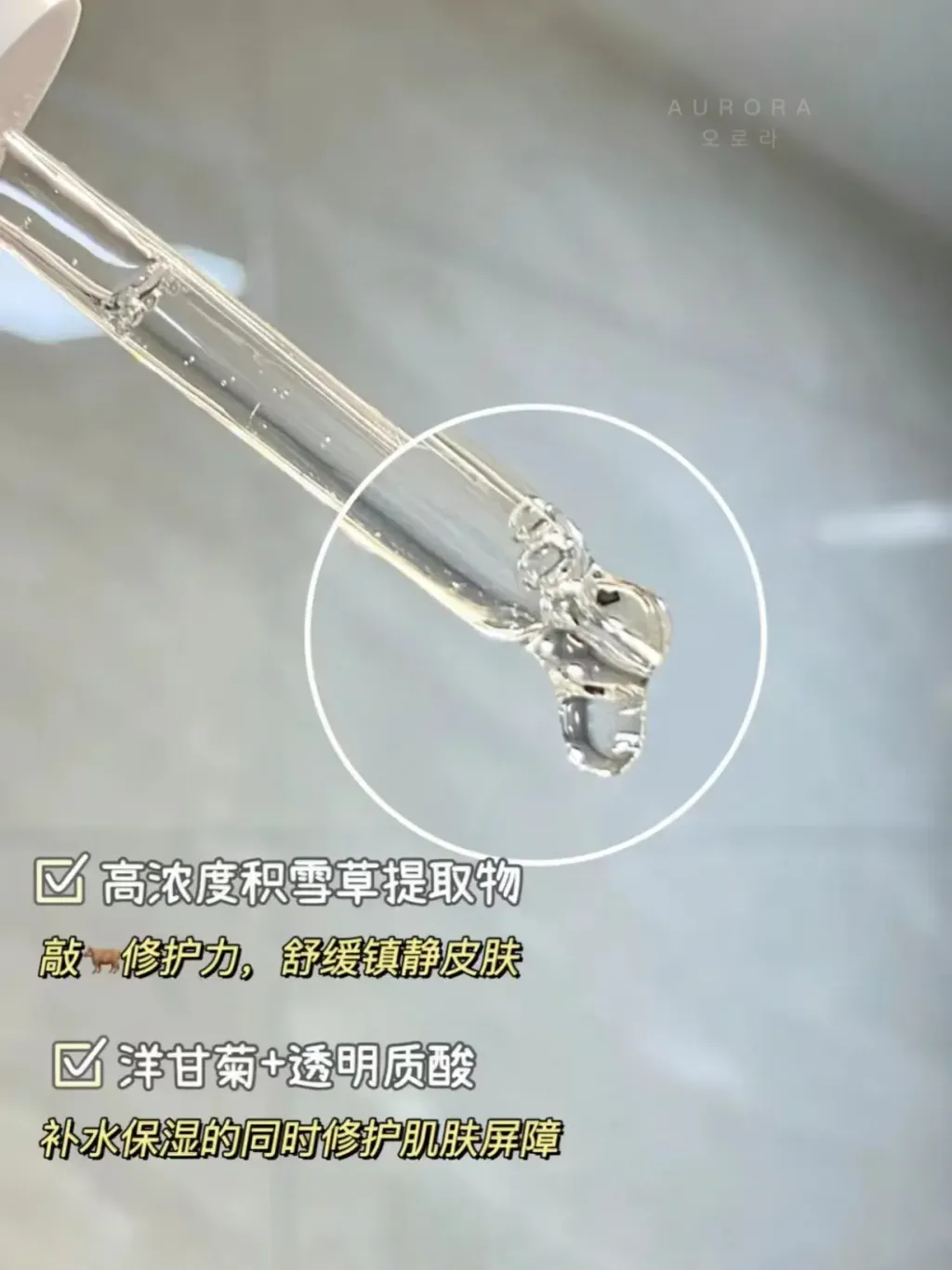 Beplain 积雪草镇静安瓶 (4)