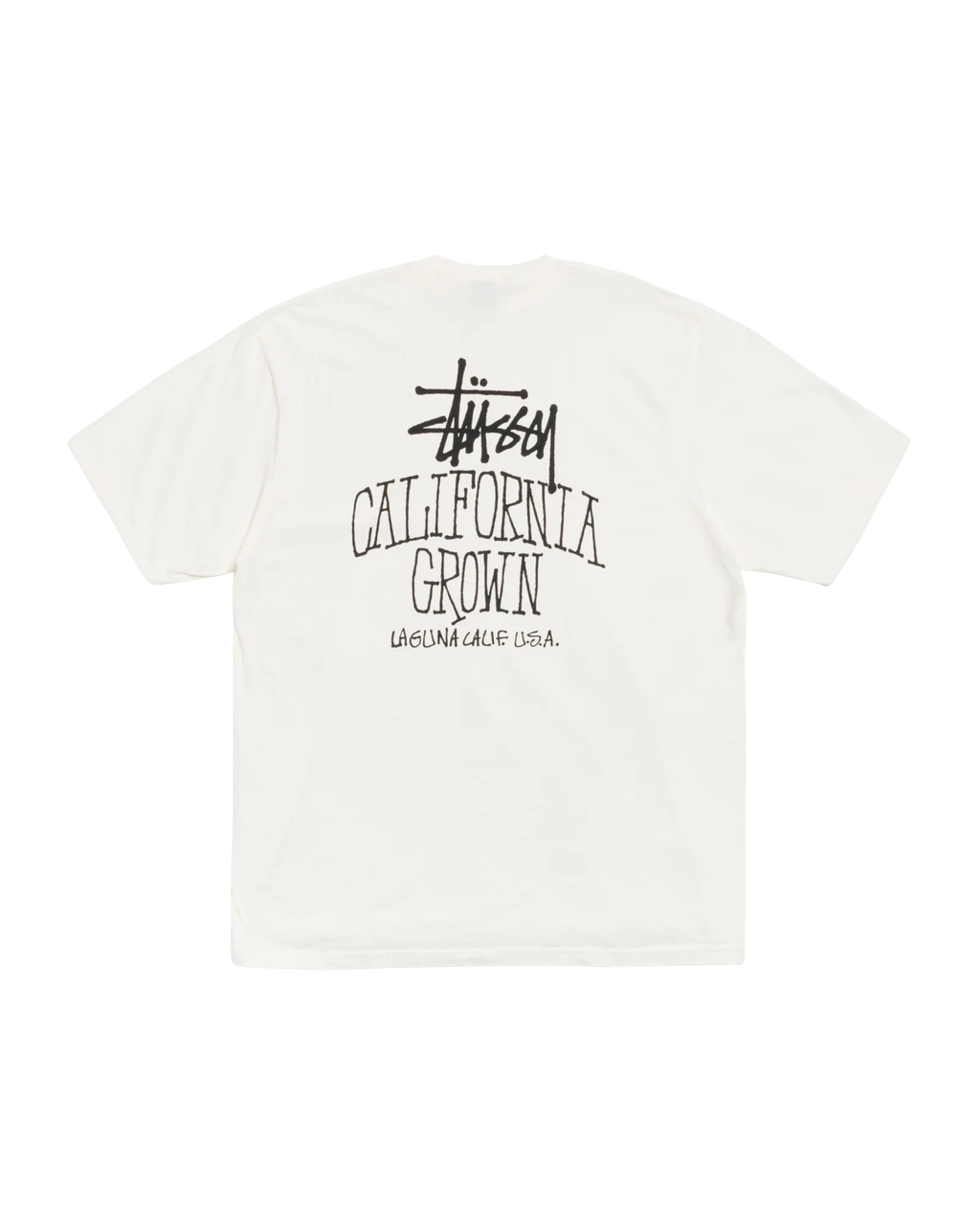 1905162_NATL_2_a7941c2a-db56-406f-8c5e-8e15dd86db11