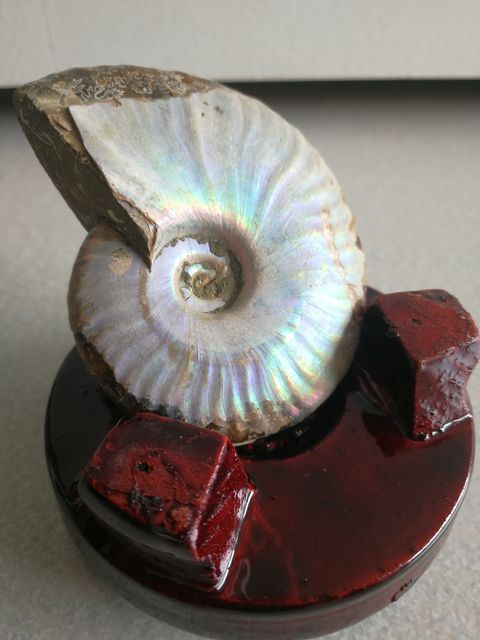 CC055A.jpg