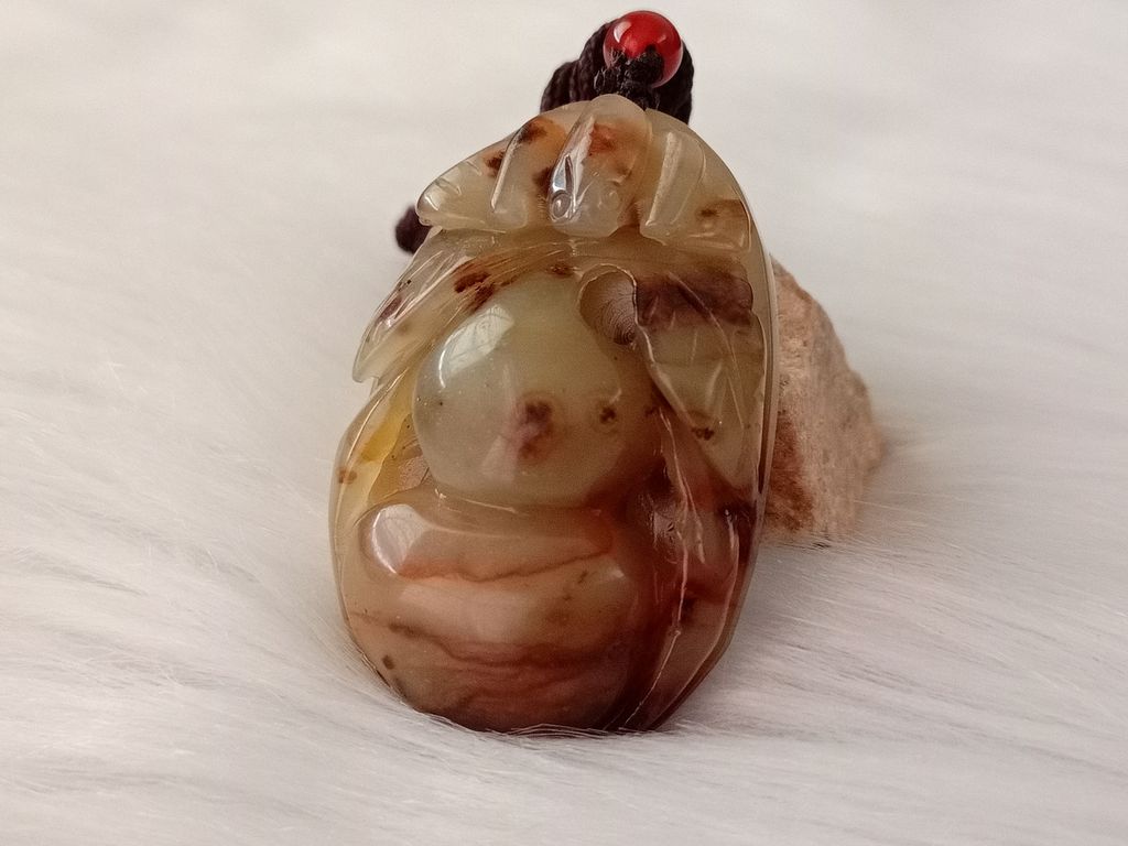 P459C